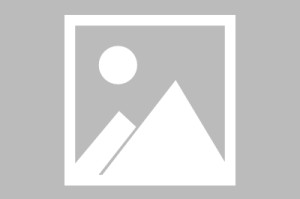 博万体育官方入口-图片报：基米希代表球队与足协谈判，若德国夺冠每人奖励50万美元
